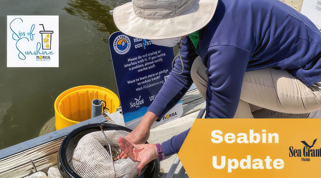 Seabin Project Check-in!