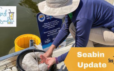 Seabin Project Check-in!