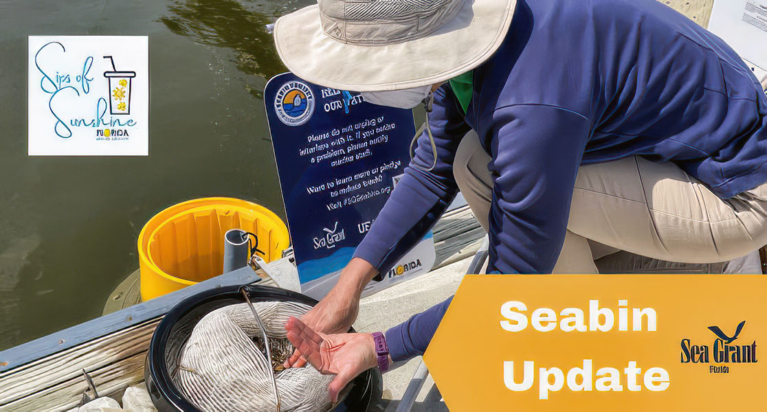 Seabin update