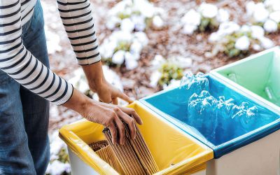 FBA President Elizabeth DeWitt is Appointed as Chair of the Florida Recycling Partnership Foundation